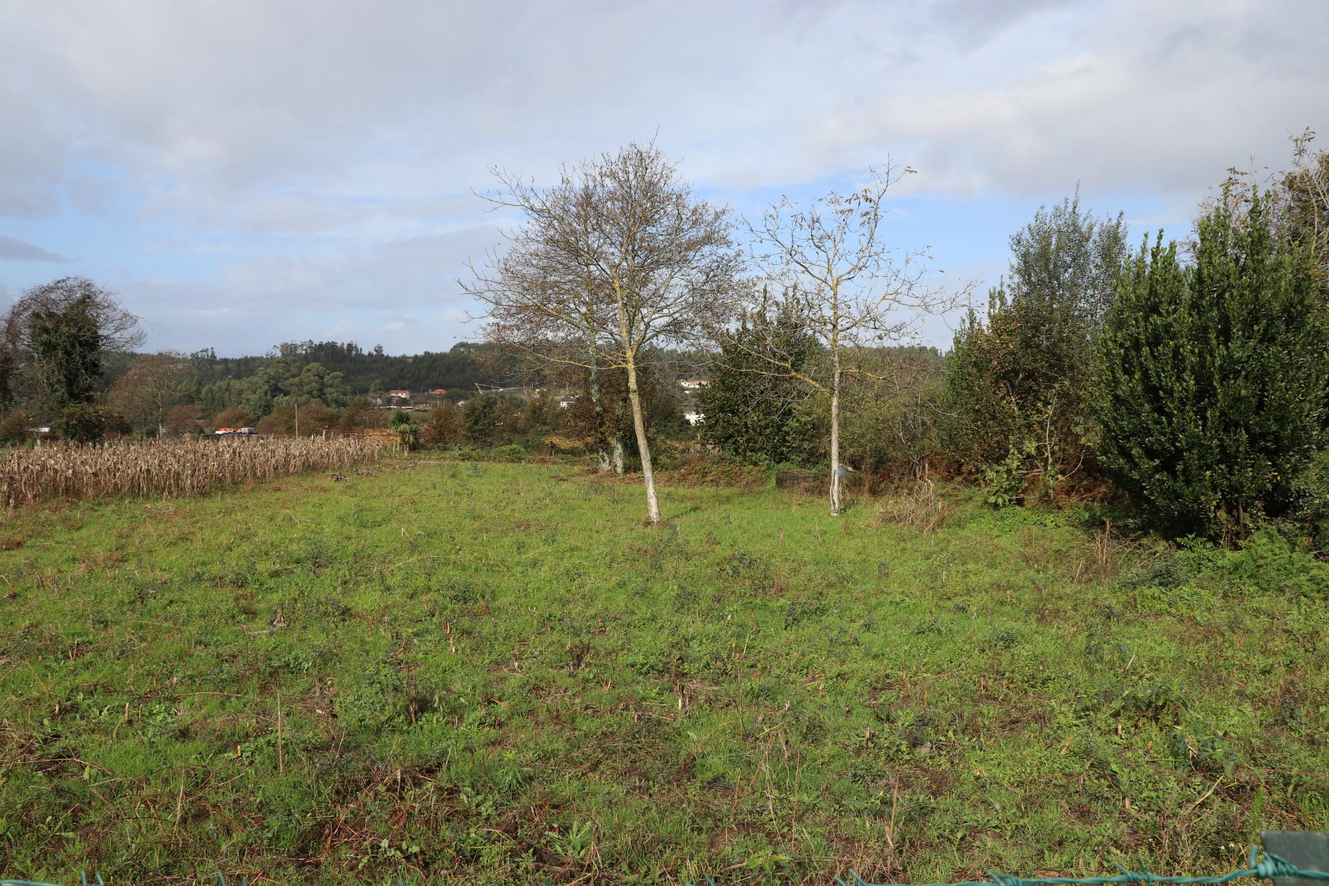 Lote de Terreno  Venda em Lustosa e Barrosas (Santo Estêvão),Lousada