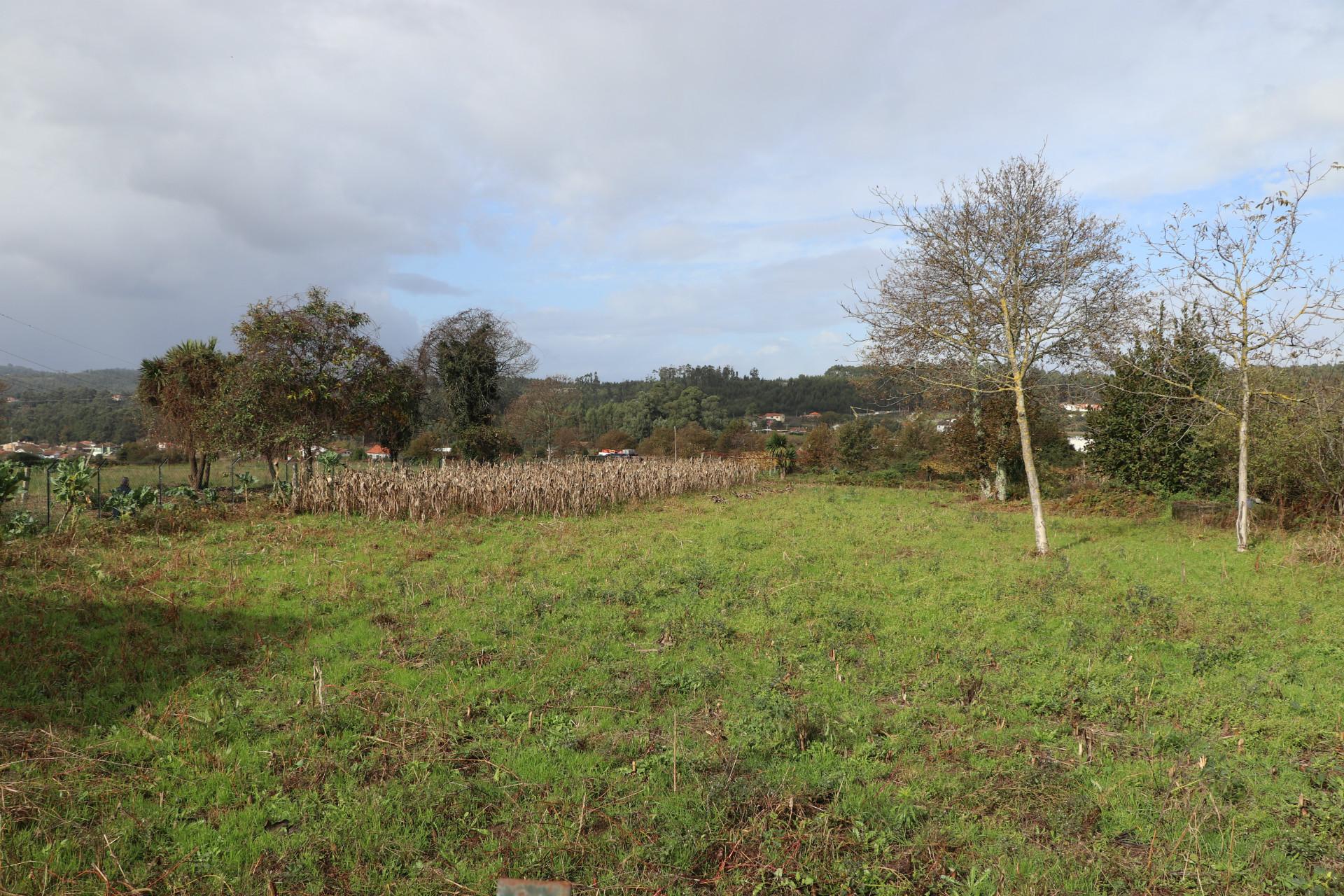 Lote de Terreno  Venda em Lustosa e Barrosas (Santo Estêvão),Lousada