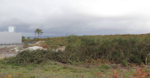 Lote de Terreno  Venda em Lustosa e Barrosas (Santo Estêvão),Lousada