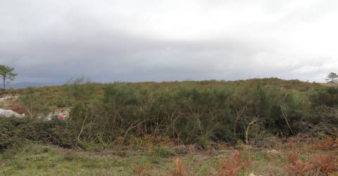 Lote de Terreno  Venda em Lustosa e Barrosas (Santo Estêvão),Lousada