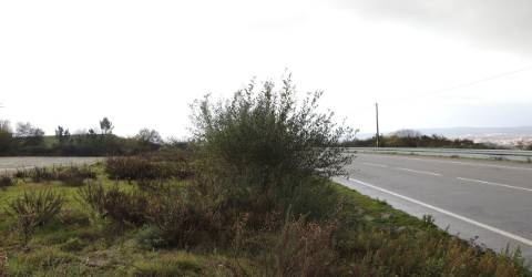 Lote de Terreno  Venda em Lustosa e Barrosas (Santo Estêvão),Lousada