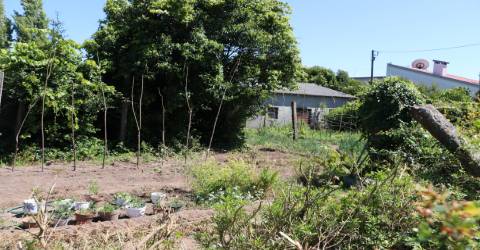 Armazém  Venda em Lustosa e Barrosas (Santo Estêvão),Lousada