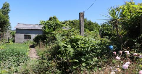 Armazém  Venda em Lustosa e Barrosas (Santo Estêvão),Lousada