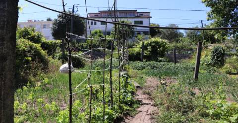 Armazém  Venda em Lustosa e Barrosas (Santo Estêvão),Lousada