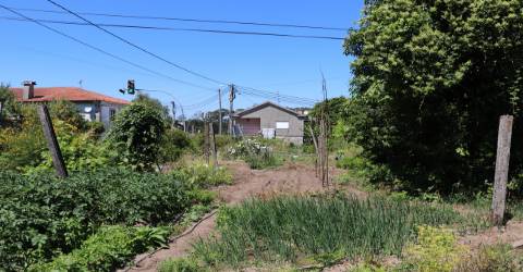 Armazém  Venda em Lustosa e Barrosas (Santo Estêvão),Lousada