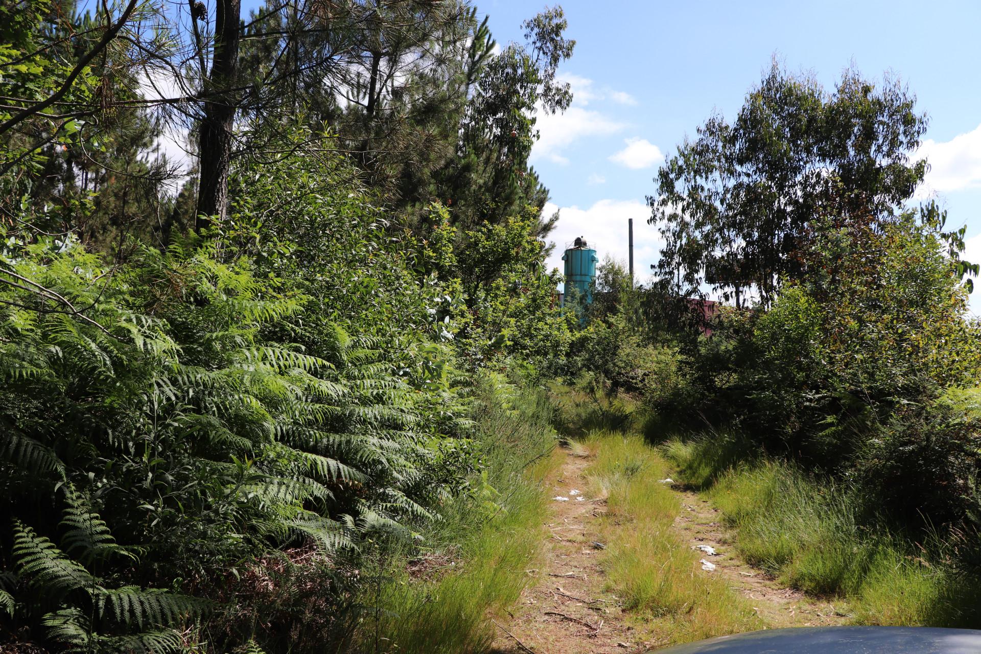 Lote de Terreno  Venda em Seroa,Paços de Ferreira