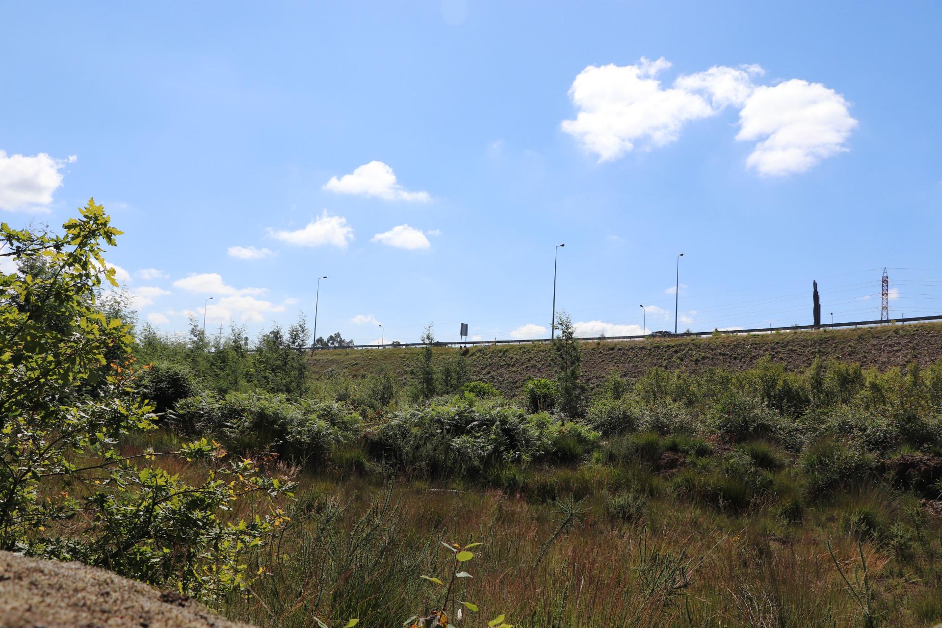 Lote de Terreno  Venda em Seroa,Paços de Ferreira