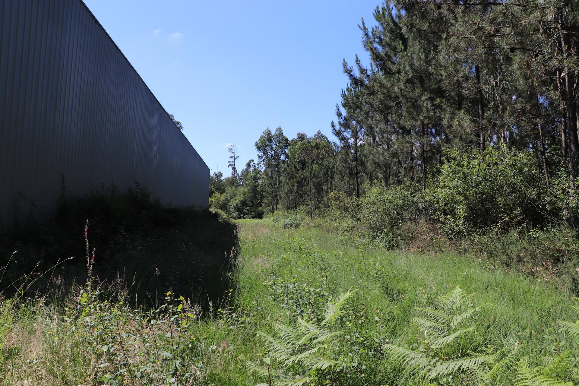 Lote de Terreno  Venda em Seroa,Paços de Ferreira