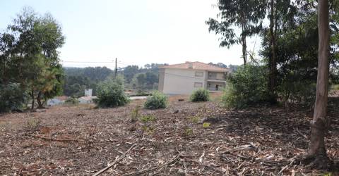 Terreno  Venda em Lustosa e Barrosas (Santo Estêvão),Lousada