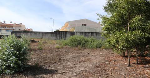 Terreno  Venda em Lustosa e Barrosas (Santo Estêvão),Lousada
