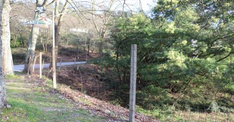 Lote Industrial  Venda em Santa Eulália,Vizela