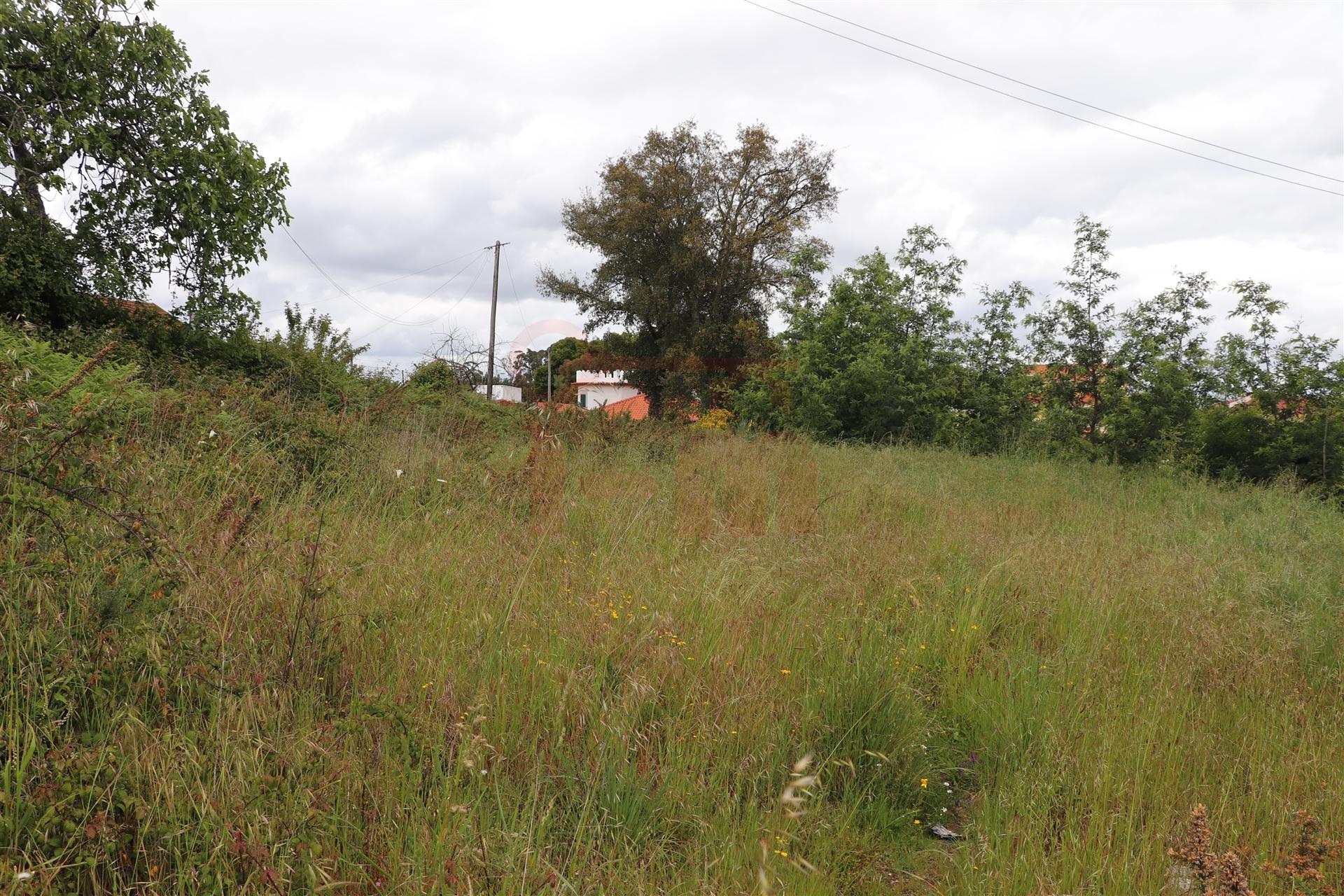 Terreno Para Construção  Venda em Lustosa e Barrosas (Santo Estêvão),Lousada