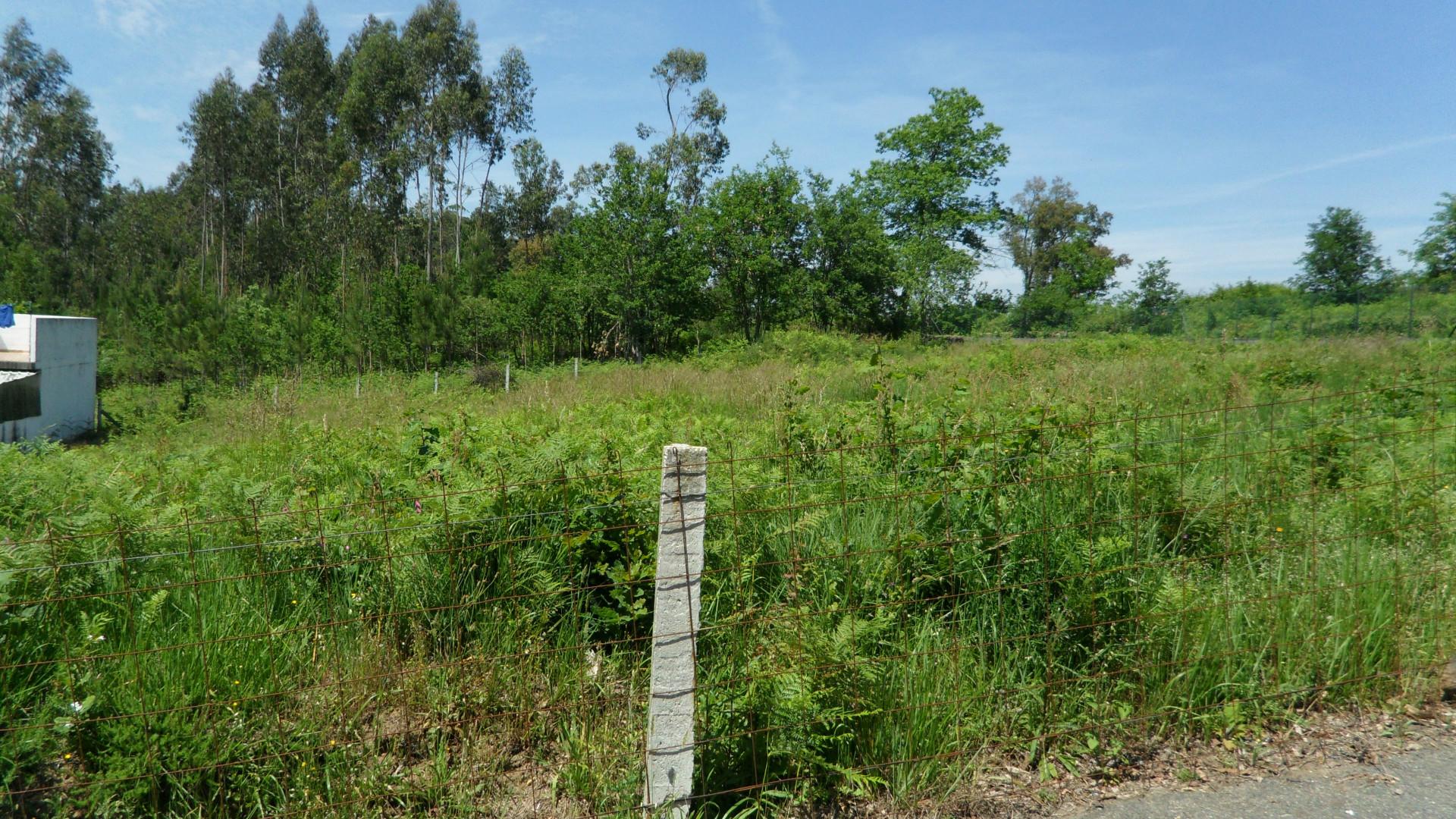 Terreno Rústico  Venda em Oliveira de Azeméis, Santiago de Riba-Ul, Ul, Macinhata da Seixa e Madail,Oliveira de Azeméis