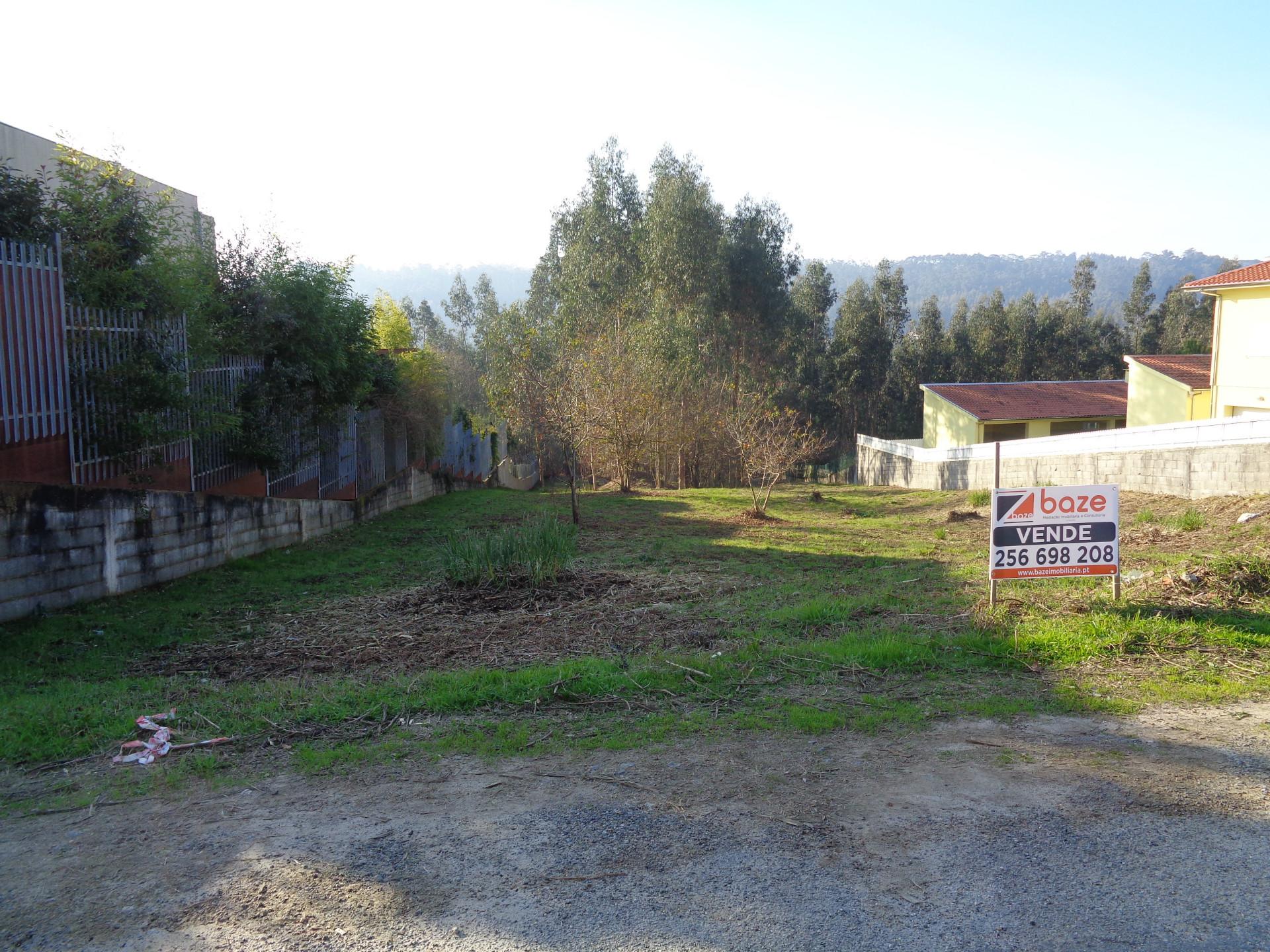 Terreno  Venda em Oliveira de Azeméis, Santiago de Riba-Ul, Ul, Macinhata da Seixa e Madail,Oliveira de Azeméis