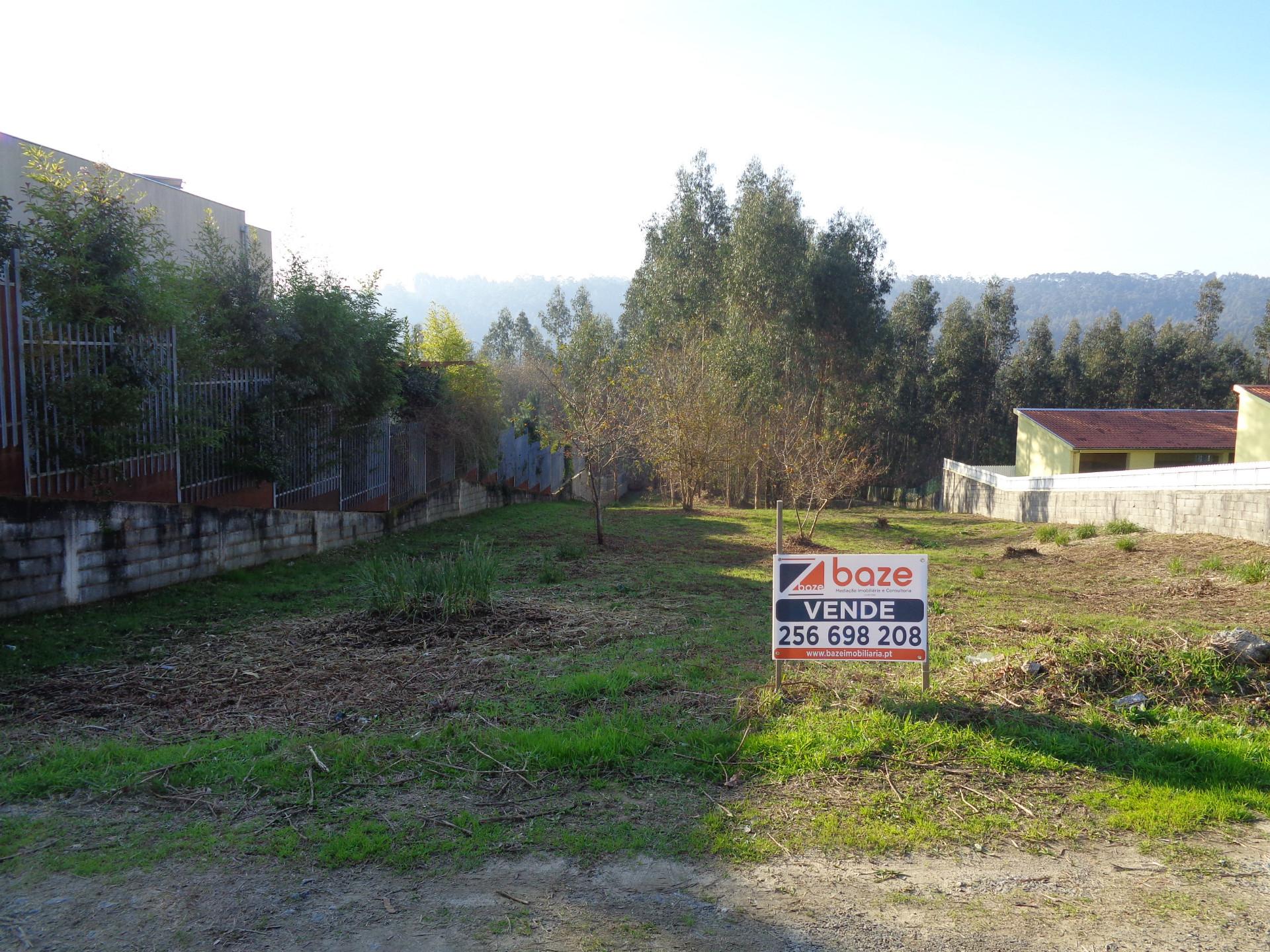 Terreno  Venda em Oliveira de Azeméis, Santiago de Riba-Ul, Ul, Macinhata da Seixa e Madail,Oliveira de Azeméis