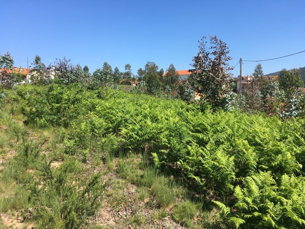 Terreno  Venda em Ossela,Oliveira de Azeméis