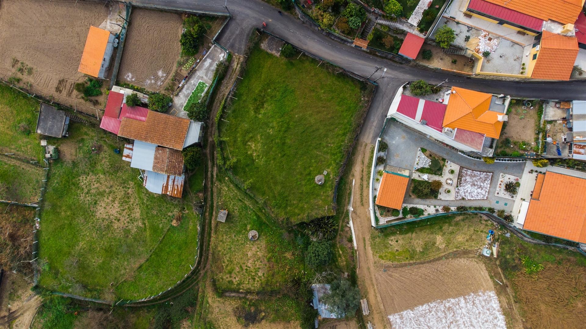 Terreno  Venda em Nogueira do Cravo e Pindelo,Oliveira de Azeméis