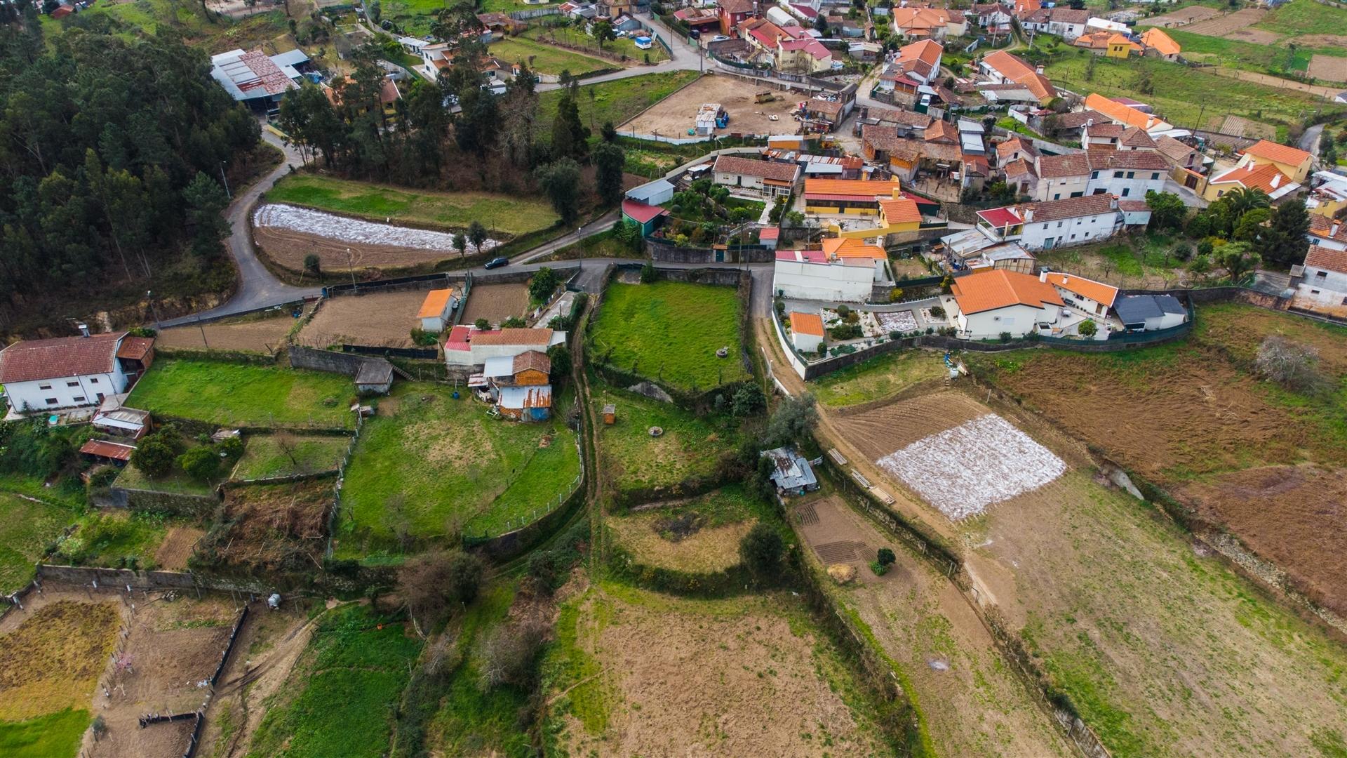 Terreno  Venda em Nogueira do Cravo e Pindelo,Oliveira de Azeméis