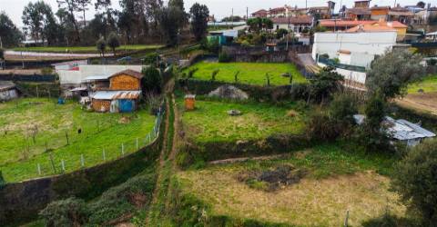 Terreno  Venda em Nogueira do Cravo e Pindelo,Oliveira de Azeméis