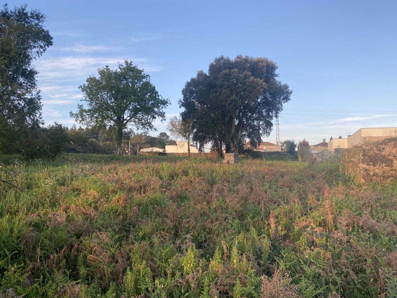 Terreno  Venda em São Roque,Oliveira de Azeméis