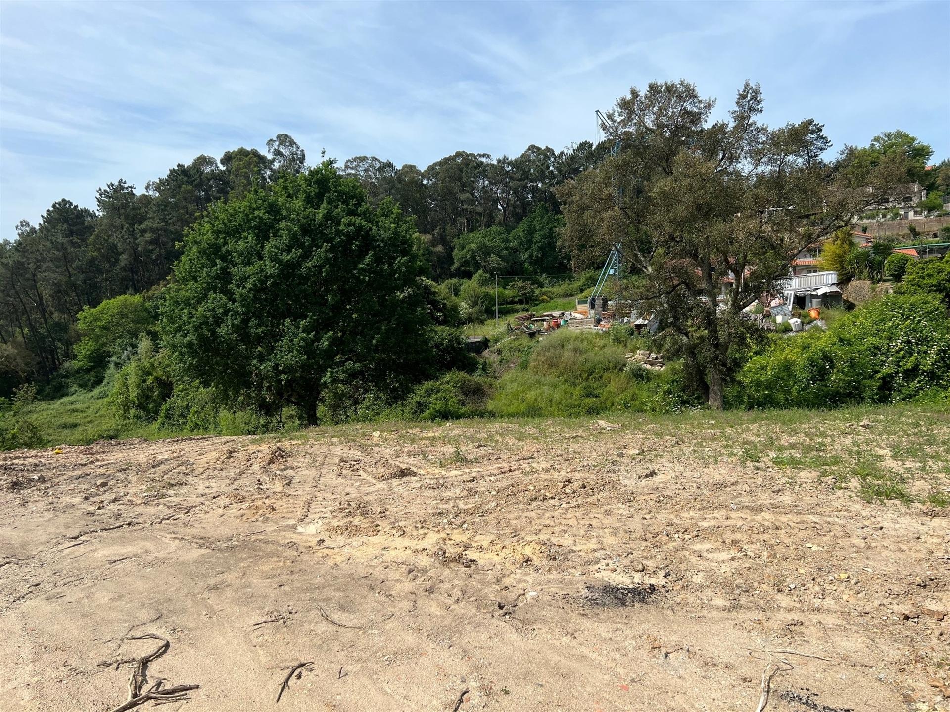 Terreno  Venda em Nogueira do Cravo e Pindelo,Oliveira de Azeméis