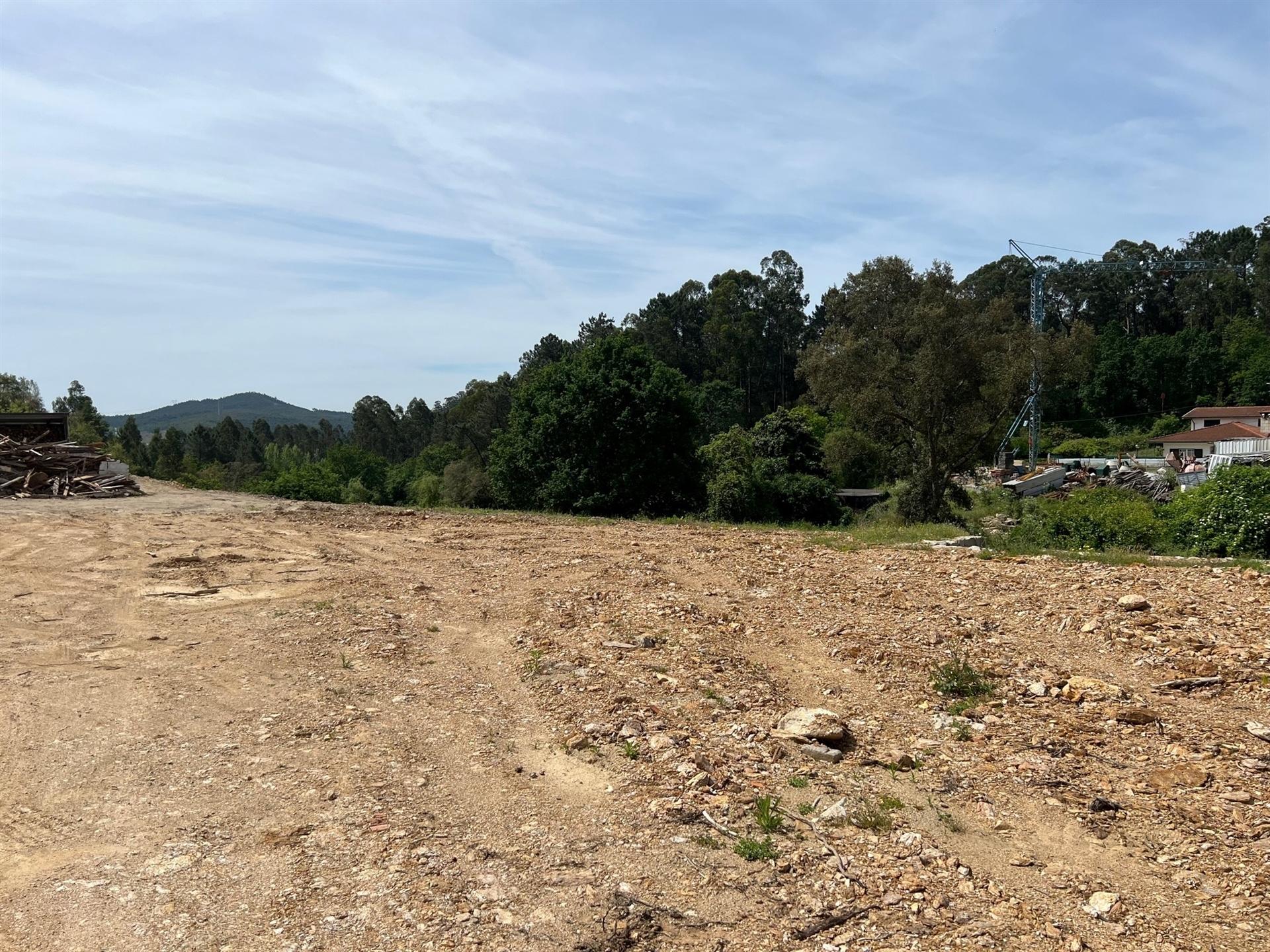 Terreno  Venda em Nogueira do Cravo e Pindelo,Oliveira de Azeméis