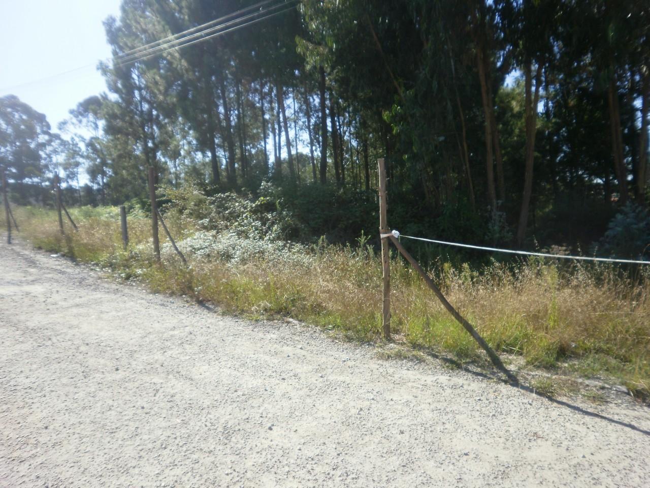 Terreno  Venda em Sandim, Olival, Lever e Crestuma,Vila Nova de Gaia