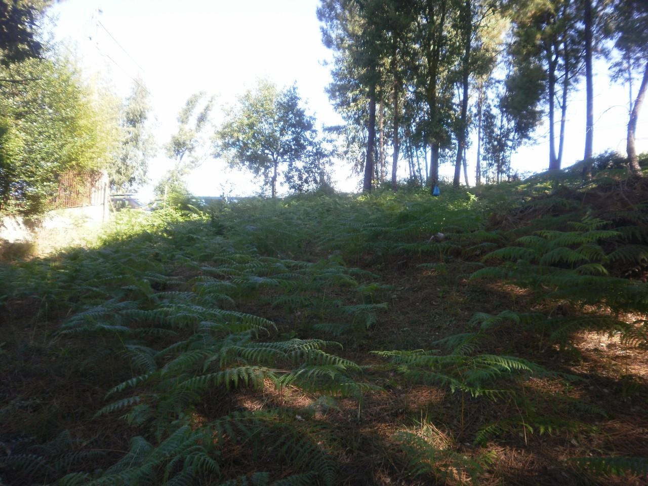 Terreno  Venda em Sandim, Olival, Lever e Crestuma,Vila Nova de Gaia