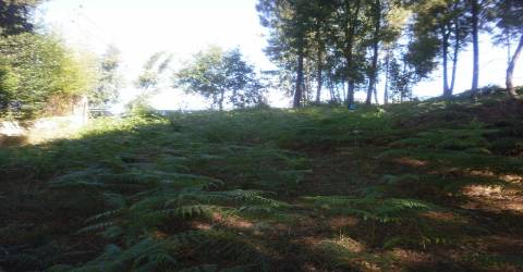 Terreno  Venda em Sandim, Olival, Lever e Crestuma,Vila Nova de Gaia