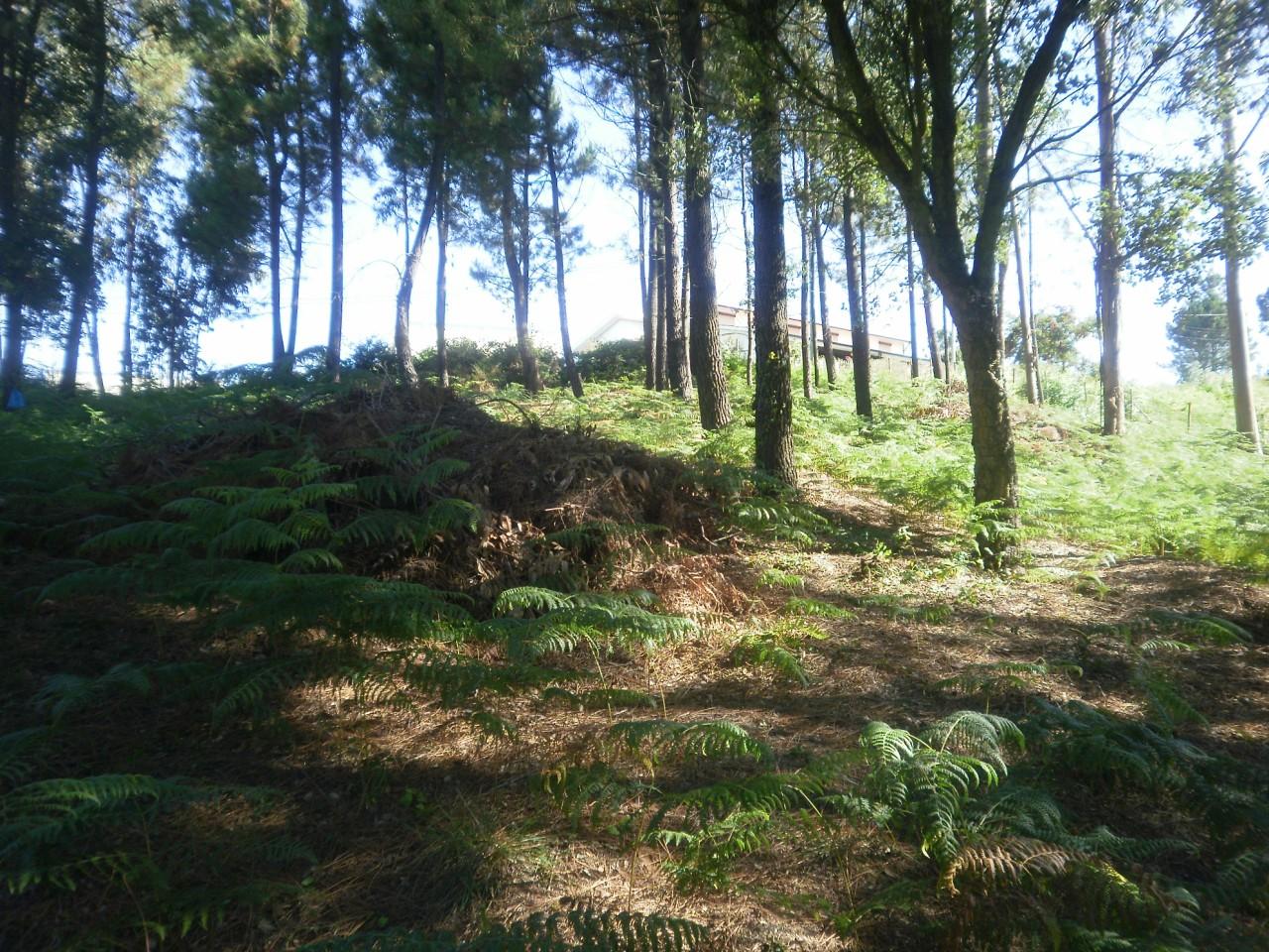 Terreno  Venda em Sandim, Olival, Lever e Crestuma,Vila Nova de Gaia