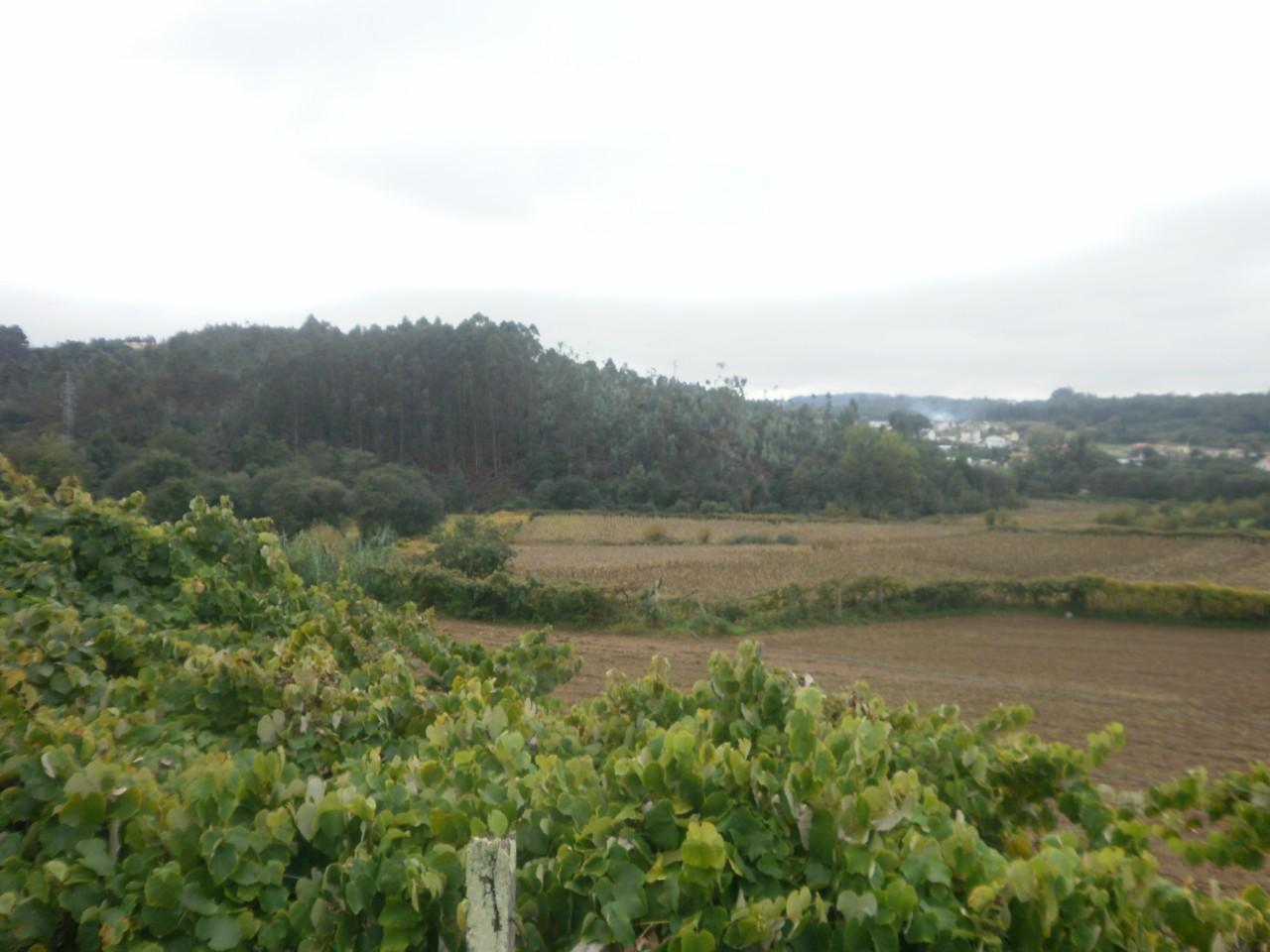 Quinta T4 Venda em Pedroso e Seixezelo,Vila Nova de Gaia