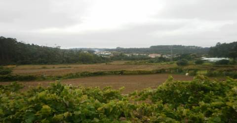 Quinta T4 Venda em Pedroso e Seixezelo,Vila Nova de Gaia