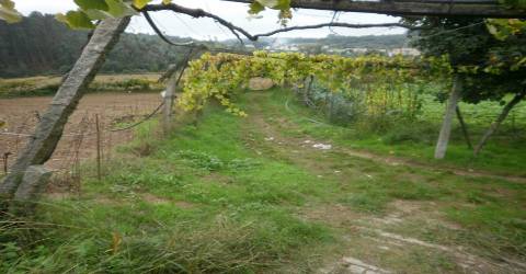 Quinta T4 Venda em Pedroso e Seixezelo,Vila Nova de Gaia