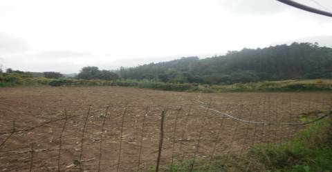 Quinta T4 Venda em Pedroso e Seixezelo,Vila Nova de Gaia