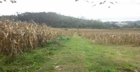 Quinta T4 Venda em Pedroso e Seixezelo,Vila Nova de Gaia