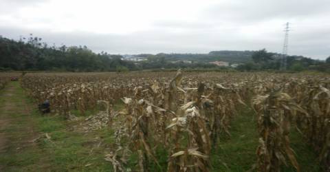 Quinta T4 Venda em Pedroso e Seixezelo,Vila Nova de Gaia