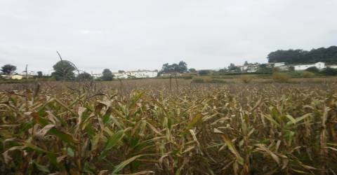 Quinta T4 Venda em Pedroso e Seixezelo,Vila Nova de Gaia