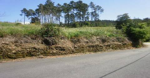 Terreno Rústico  Venda em Sandim, Olival, Lever e Crestuma,Vila Nova de Gaia