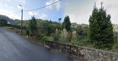 Terreno Rústico  Venda em Sandim, Olival, Lever e Crestuma,Vila Nova de Gaia