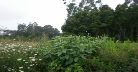 Terreno  Venda em Arcozelo,Vila Nova de Gaia