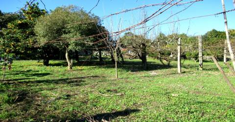 Fábrica para investimento em Vila Nova de Gaia perto do Hospital Santos Silva