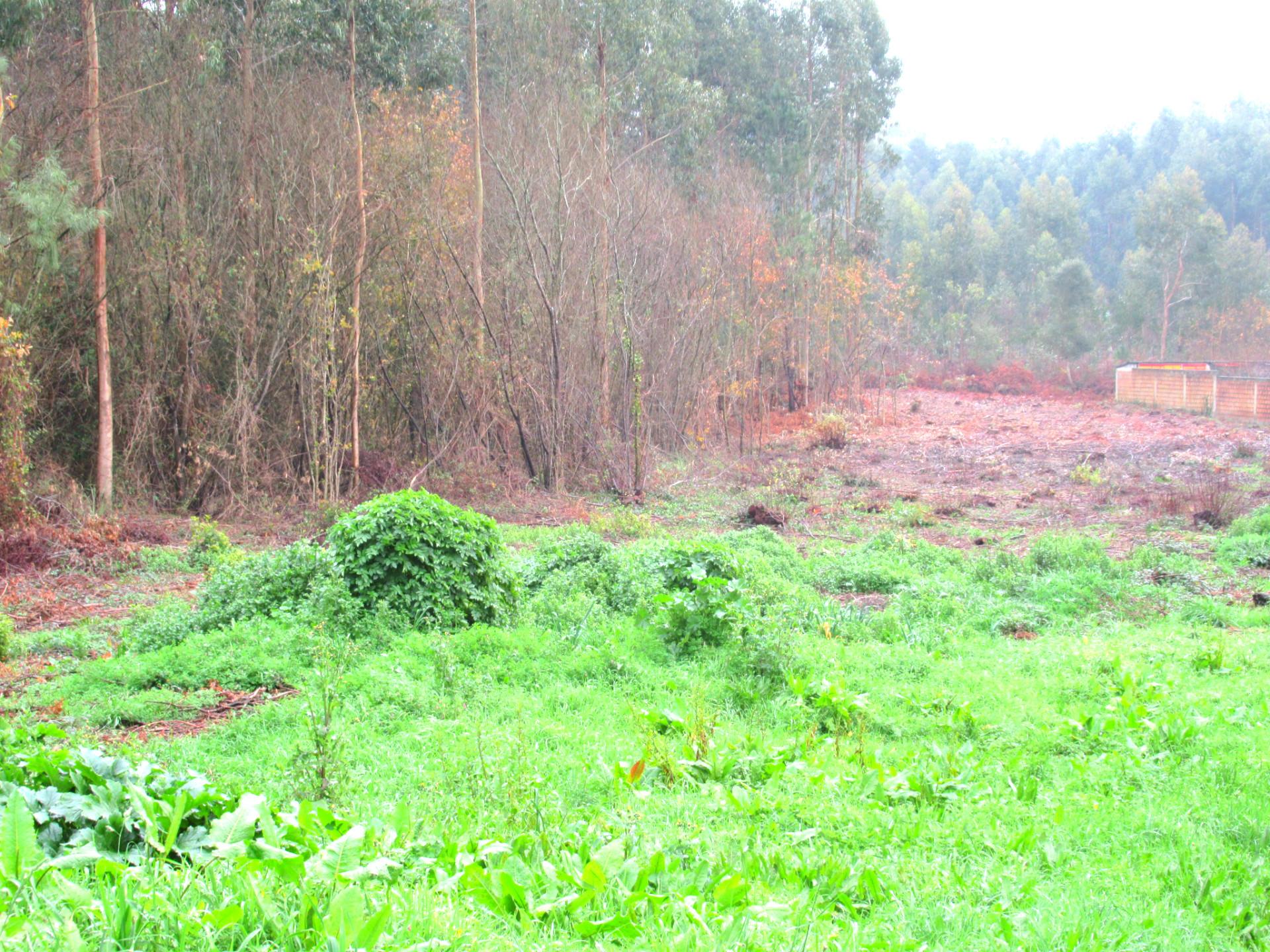 Terreno  Venda em Serzedo e Perosinho,Vila Nova de Gaia