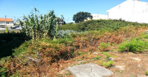 Terreno para Construção na Praia de Canidelo.