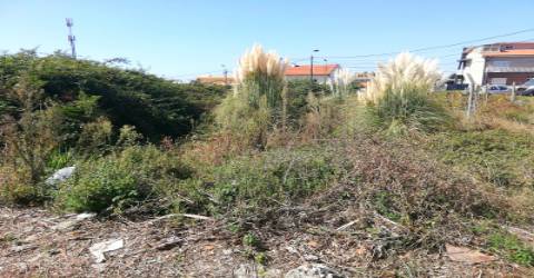 Terreno para Construção na Praia de Canidelo.