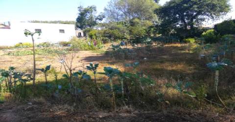 Terreno na Praia de Canidelo.