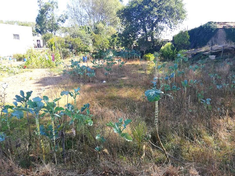 Terreno na Praia de Canidelo.