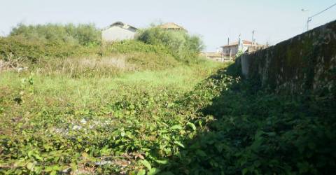 TERRENO PARA CONSTRUÇÃO EM GRIJO.