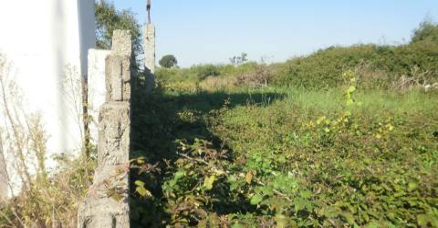 TERRENO PARA CONSTRUÇÃO EM GRIJO.