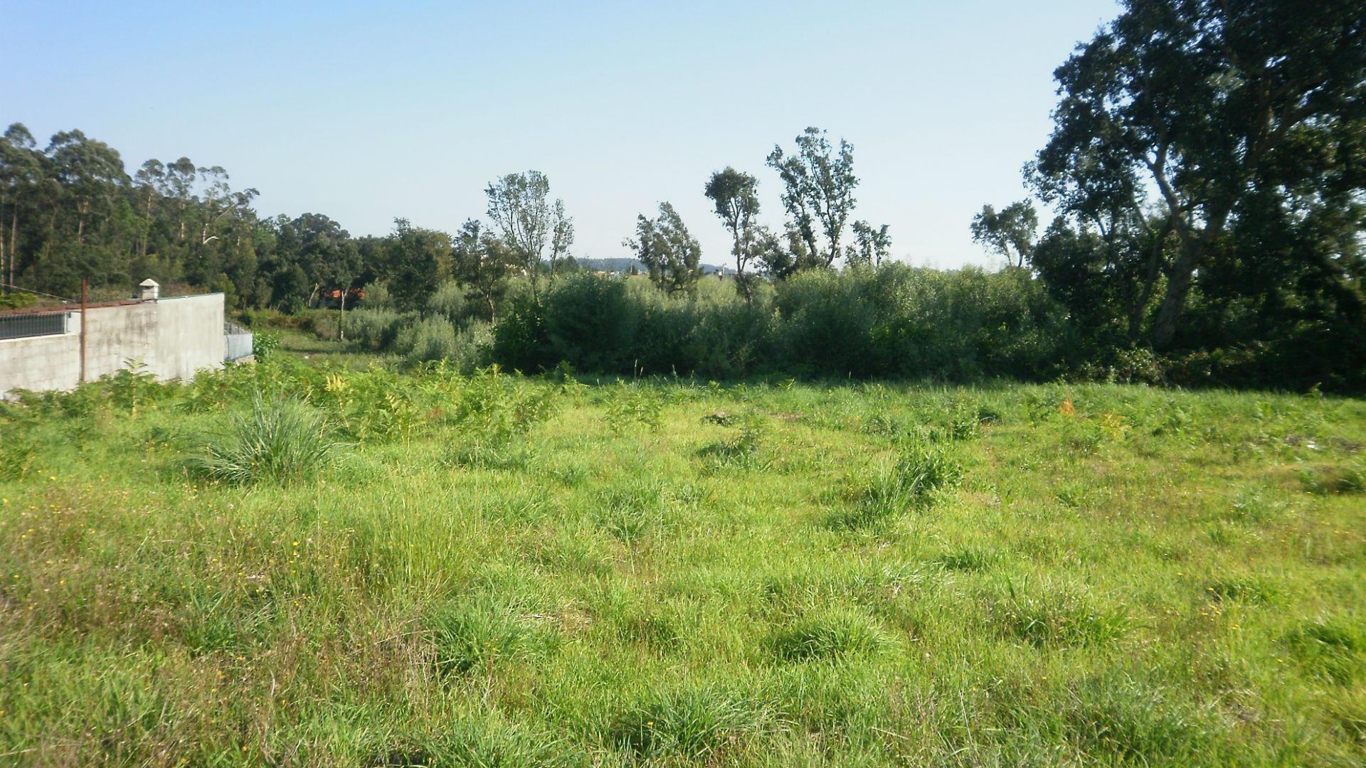 TERRENO PARA CONSTRUÇÃO EM GRIJO.