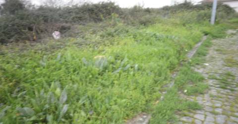 LOTE DE TERRENO NA VERGADA